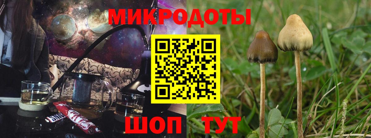 Алатырь  Псилоцибиновые грибы Psilocybe  где найти   Псилоцибиновые грибы ЛСД  Вход с VPN 